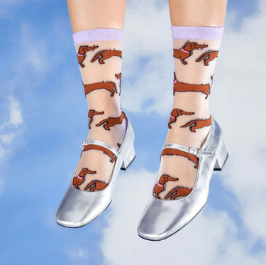 Chaussettes Transparentes Teckel